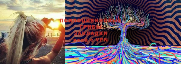 ECSTASY Киренск
