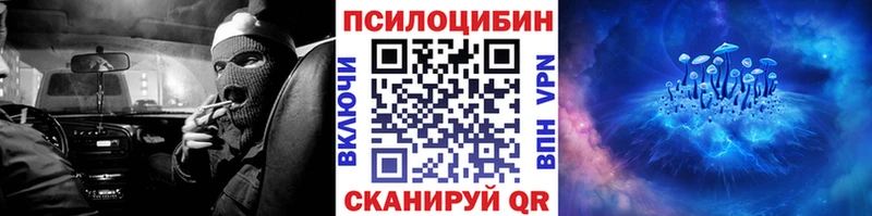 Галлюциногенные грибы GOLDEN TEACHER  Купить  Балей 