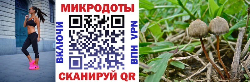 Галлюциногенные грибы ЛСД Балей