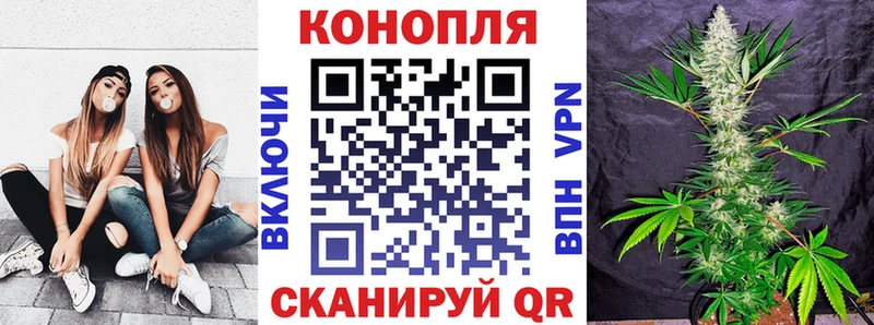 Купить где  Балей  Конопля OG Kush 